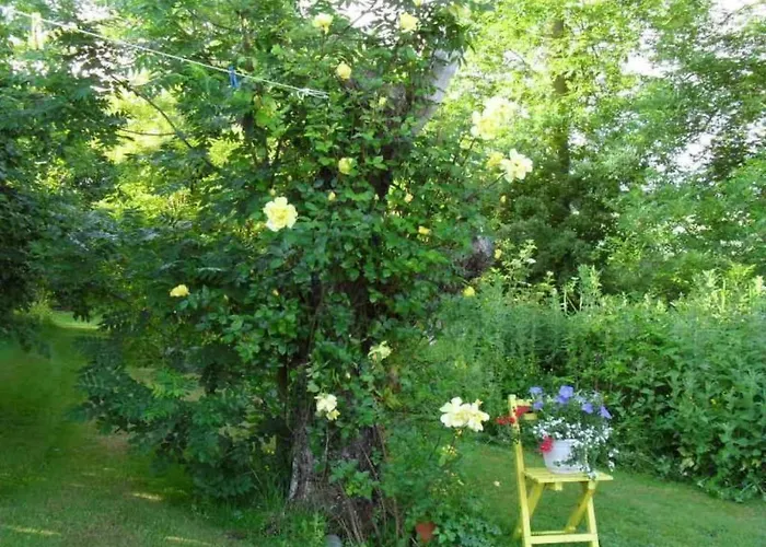 Apartamento Canadahof By Interhome Pellworm