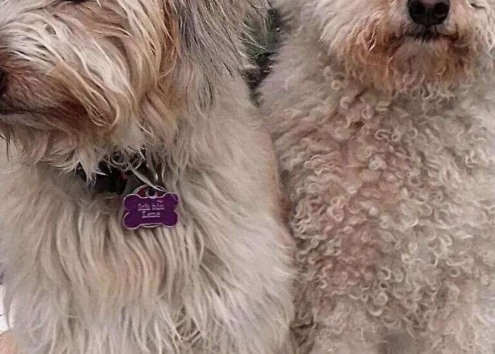 Canadahof By Interhome Pellworm