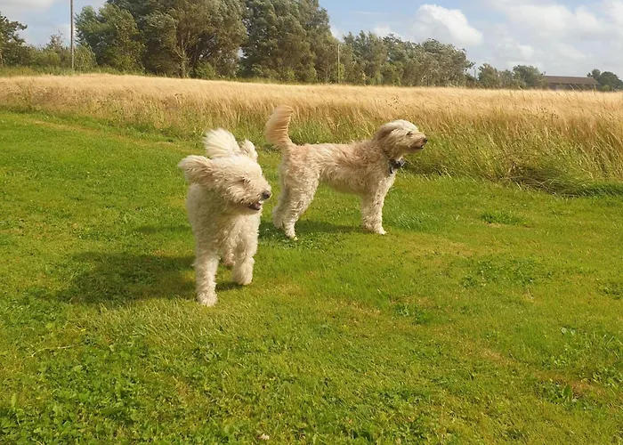 Canadahof By Interhome Apartamento